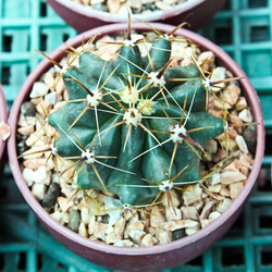 Similar image 12698057