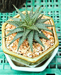 Similar image 12698059