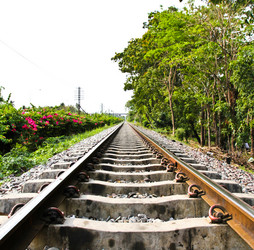 Similar image 12984583