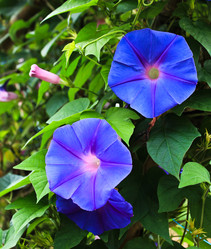 Similar image 12984599