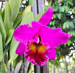 Similar image 12984639