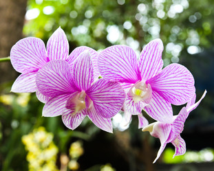 Similar image 12984641