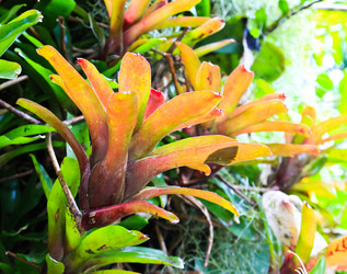 Similar image 12689744