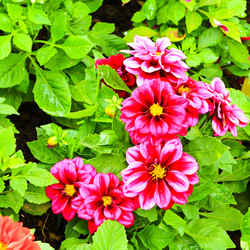 Similar image 12689854