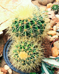 Similar image 12689856