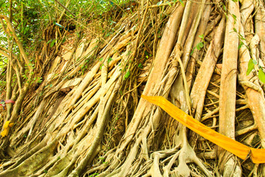 Similar image 12689874