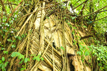 Similar image 12689905