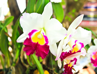 Similar image 12689906