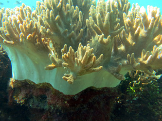 Similar image 12978508