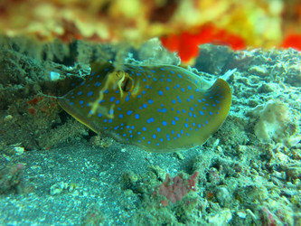 Similar image 12978796