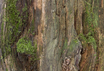 Similar image 12988397