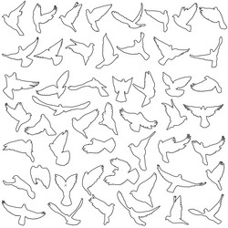 Similar image 12988415