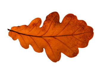 Similar image 12996651