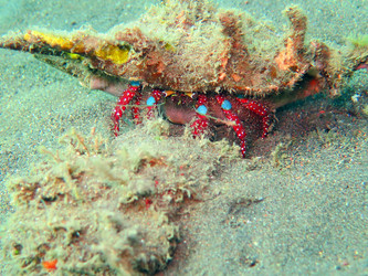 Similar image 12978802