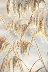 Similar image 12695423