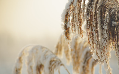 Similar image 12695049