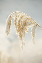 Similar image 12695050