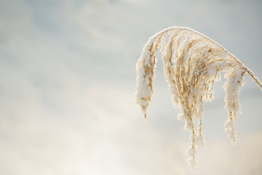 Similar image 12695051