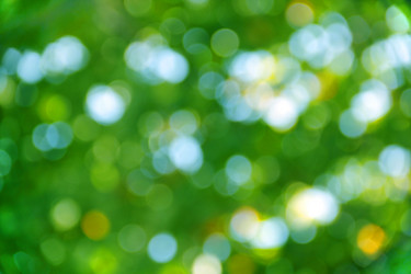 Similar image 12980373