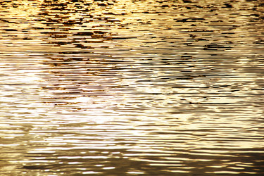 Similar image 12980538