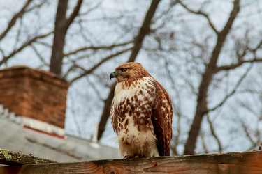 Similar image 12695210