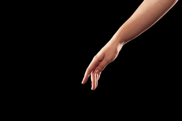 Similar image 12984086