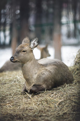 Similar image 12695333