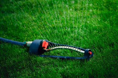 Similar image 12695195