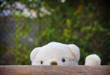 Similar image 12980620