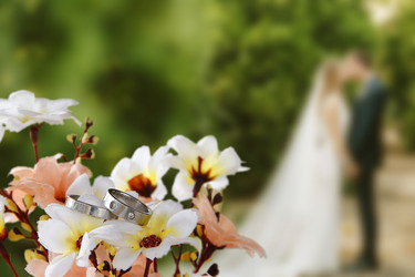 Similar image 12980300