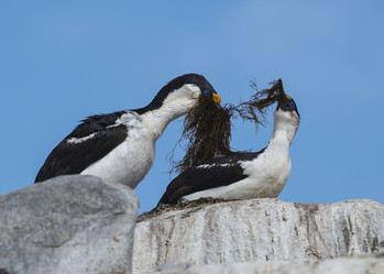 Similar image 12984004