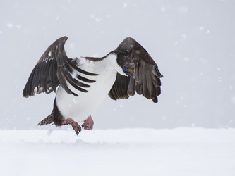 Similar image 12983983