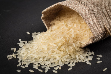 Similar image 12982206