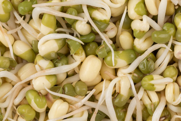 Similar image 12982267