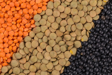 Similar image 12982381