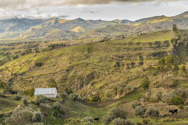 Similar image 12989972