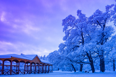 Similar image 12990086