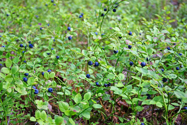 Similar image 12984665