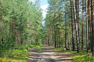 Similar image 12984668