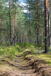 Similar image 12984687