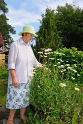 Similar image 12994676