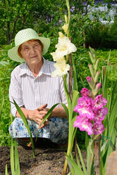 Similar image 12994694