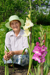 Similar image 12994695