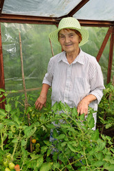 Similar image 12994696