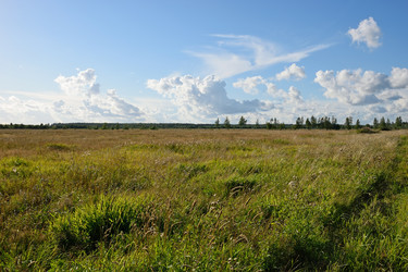 Similar image 12984509