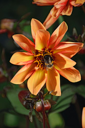 Similar image 12984511