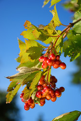 Similar image 12984512