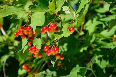 Similar image 12984513