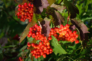 Similar image 12984689