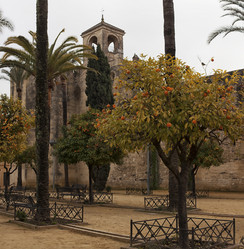 Similar image 12690075